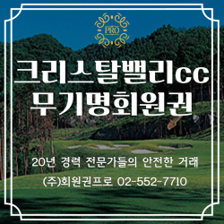 크리스탈밸리cc 무기명회원권